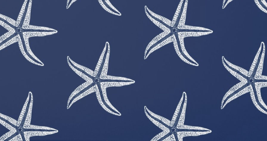 wallpaper  added by Janae Sullivan