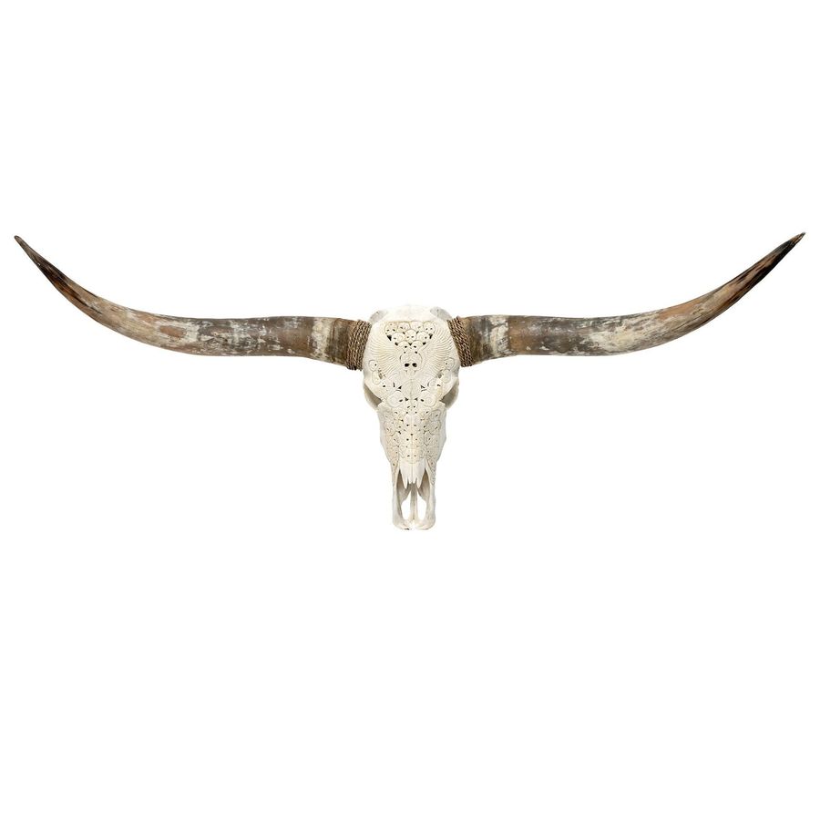 Hand Carved Longhorn Skull - White From Hell added by Kerry Hegi