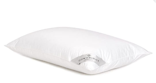Downright ASTR-ST-MED-COM 233 Thread Count 24 oz Astra LikeDown Pillow, 20" x 26", Standard 20 x 26 added by Jillian Guzman