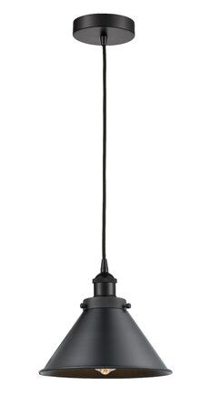 Innovations Lighting Briarcliff 1 - Light Single Cone Pendant | Perigold added by Ali Carroll