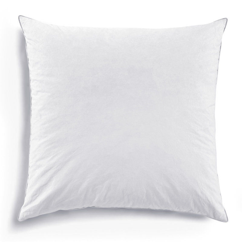 pillow insert added by sallie tyler
