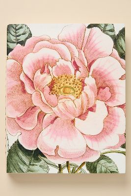 John Derian Picture Book II added by Bethesda Home Stylist