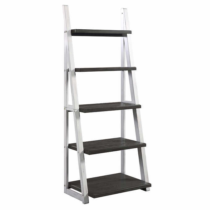 Ashlyn 72" Ladder Bookcase added by Amanda Welch