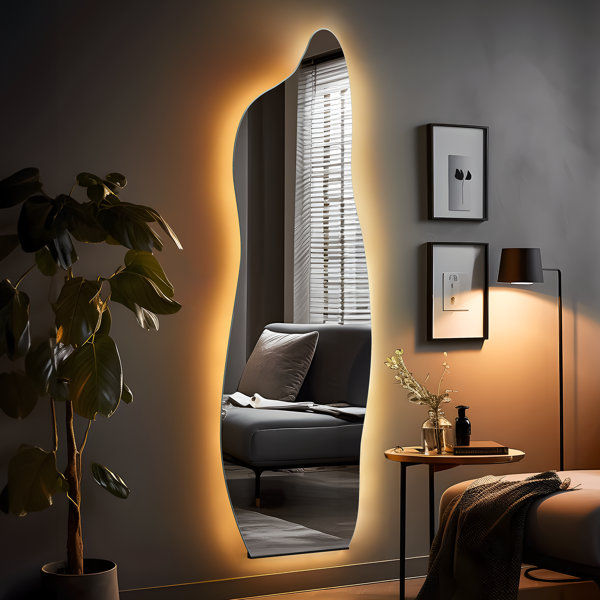Asymmetrical LED Full Length Mirror Wall Mirror with Outer Light added by erika grossman