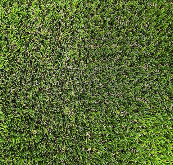 SYNLawn SYNPaws and Play Roll-bar 12-ft Cut To Length Artificial Grass added by Chelsea Darvas