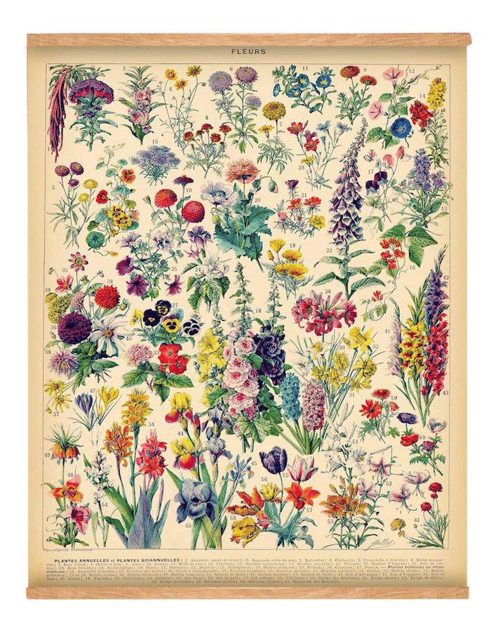 French Flowers Wall Hanging added by Jen Stringfield