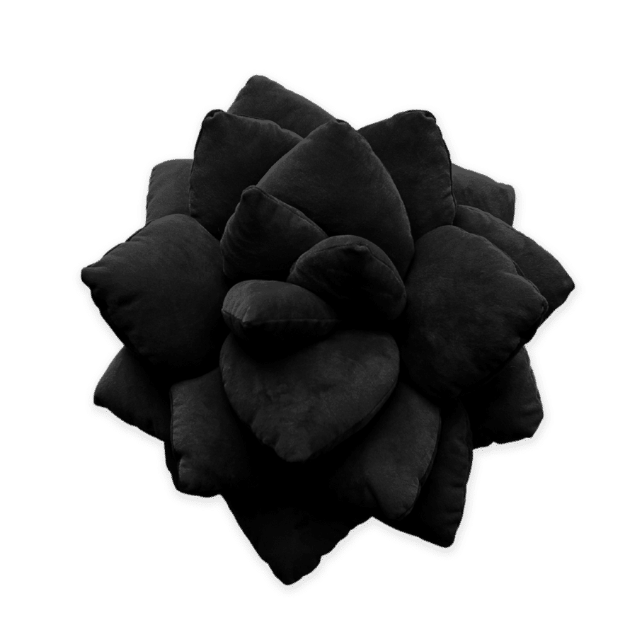 Lil' Pop Succulent® - Black Knight added by Stephanie Mora