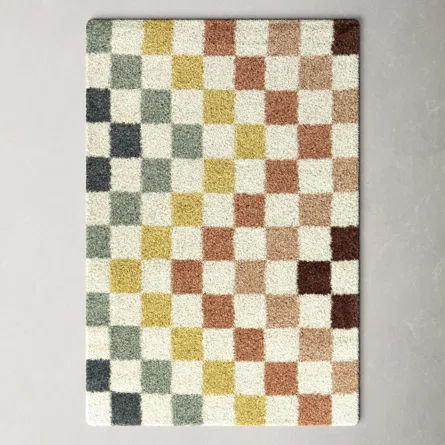 Florence-Graham CheckeredRainbow Colored Shag Area Rug | AllModern added by Spoak Member