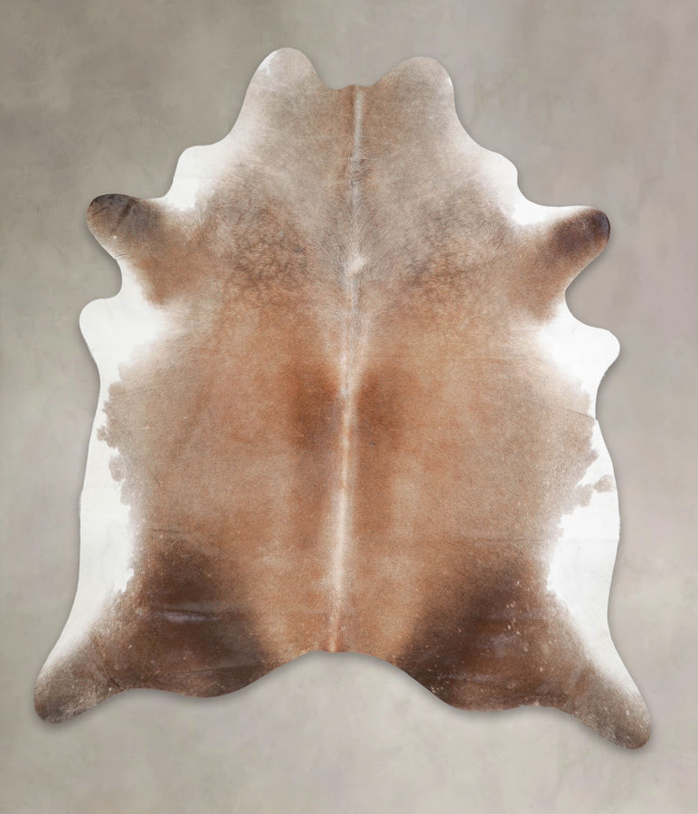 Caramel XX-Large Brazilian Cowhide Rug 8'0"H x 7'0"W #A25032 by Hudson Hides added by Cassandra DeVito