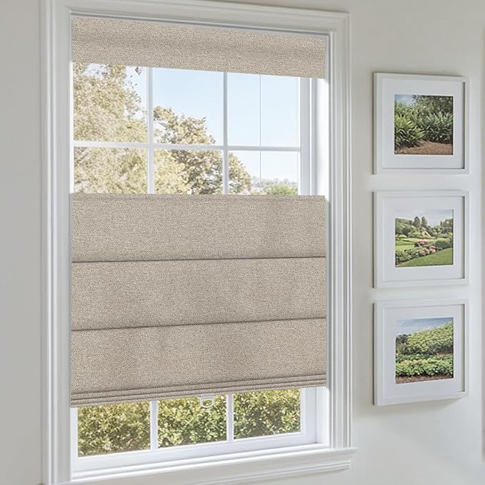 Top Down Bottom Up No Drill Roman Shades for Windows No Tools Roman Shades, UV Protection, Privacy, Thermal Insulation Roman Blinds, Easy to Install, Blackout-Light Brown Custom Sizes added by KATHERINE ECK