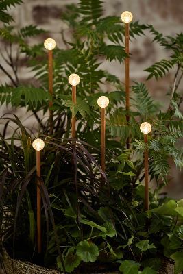 LED Planter Stake Light Strand added by Bethesda Home Stylist
