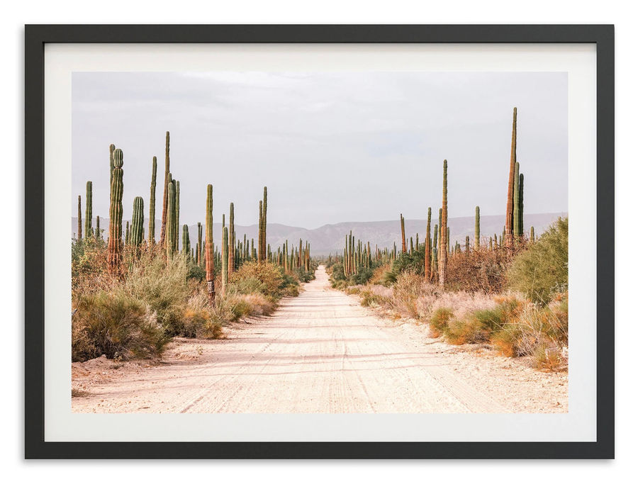 El Camino-40”x30” added by Morgan Hatch