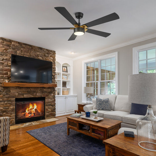 Friedrun 52'' Ceiling Fan with LED Lights added by Pamela Anzalone