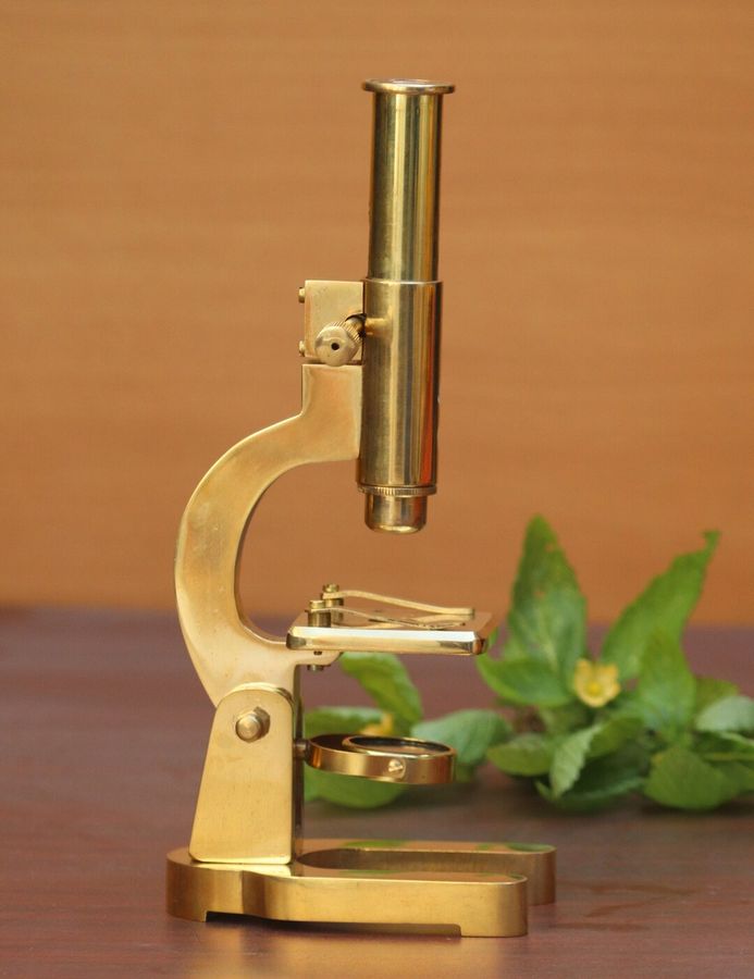 Brass Microscope Student Microscope, Science Gift, Home Decor, Gift for Him 8 Inch Vintage Type Heavy Brass Quality Microscope - Etsy added by Riley O'Bryan