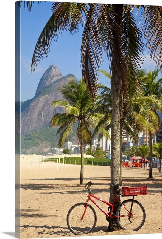 Brazil, Rio De Janeiro, Leblon beach, Bike leaning on palm tree added by HELEN SALGADO