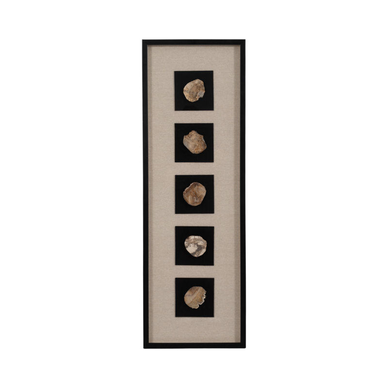 Dakota Fields 16X47 Jensen Petrified Stone Shadow Box Wall Decor | Wayfair added by Samantha Elizabeth