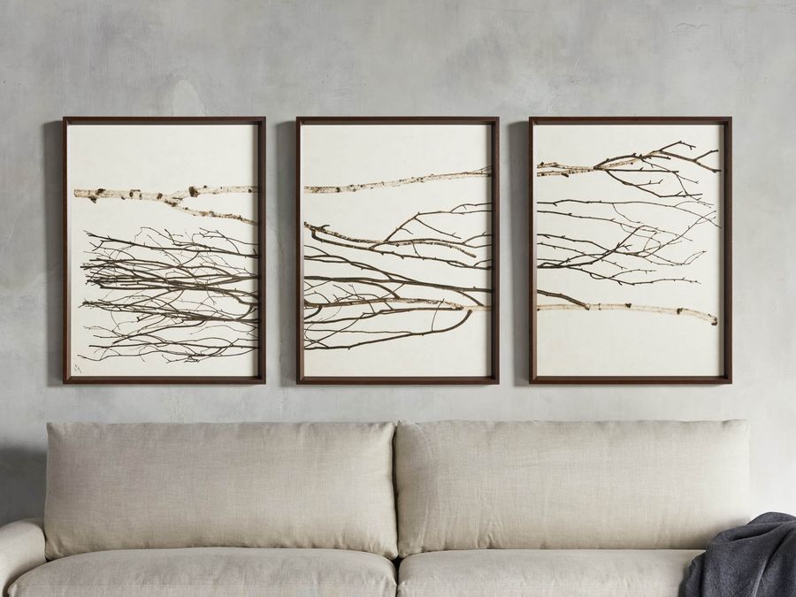 Birch Triptych Framed Print added by TYRA TROTMAN