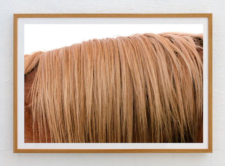 Caramel Mane added by Becca Kessel