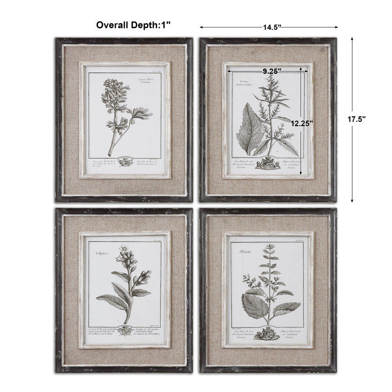 Greyleigh™ Ladouceur by Grace Feyock - 4 Piece Picture Frame Print Set on Paper & Reviews | Wayfair added by sallie tyler