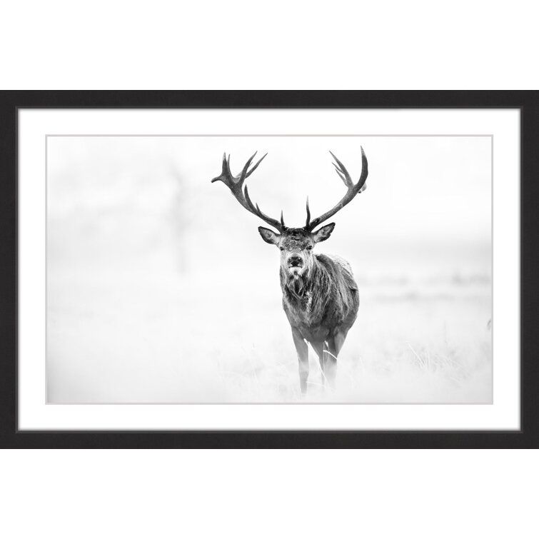 Elk Stare Framed On Paper by Marmont Hill Print added by Amber Verduzco
