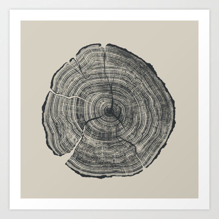Hand-Drawn Oak Art Print 13"x13" added by Kate Lynn Nemett