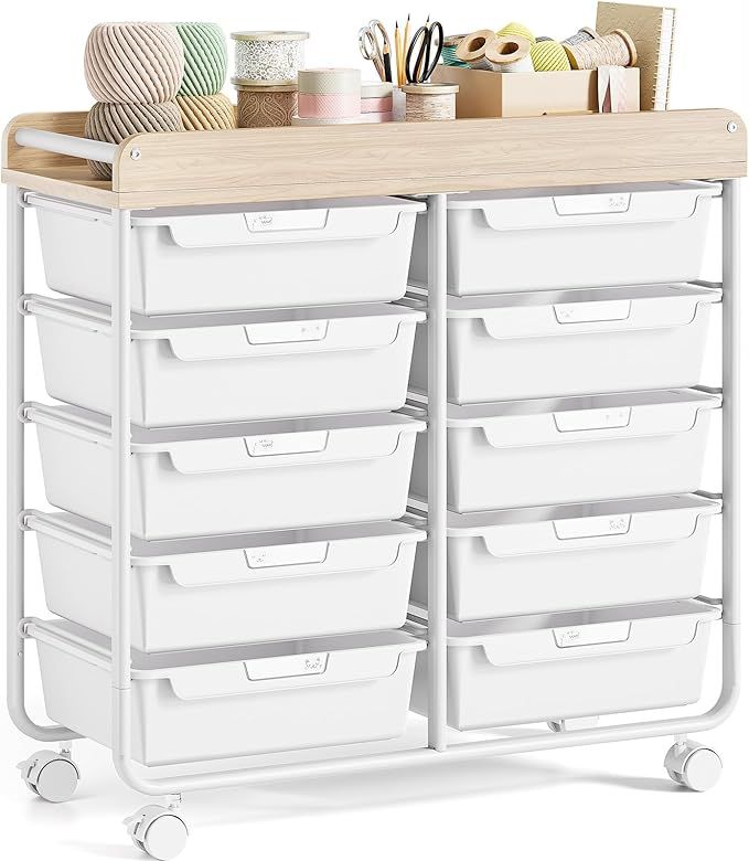 Rolling Storage Cart with 10 Large Drawers, Utility Cart with Wooden TableTop for Craft Organizers, Art Supply Storage, Home Office Organization, Cart with Wheels for Classroom, School, White added by Rachel Fedorov