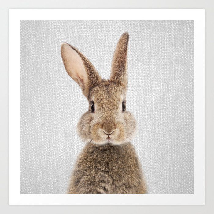 Rabbit - Colorful Art Print by Gal Design added by Stacy Ward