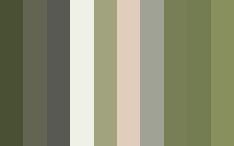 One Bedroom House Color Scheme designed by Elaine Wackerly