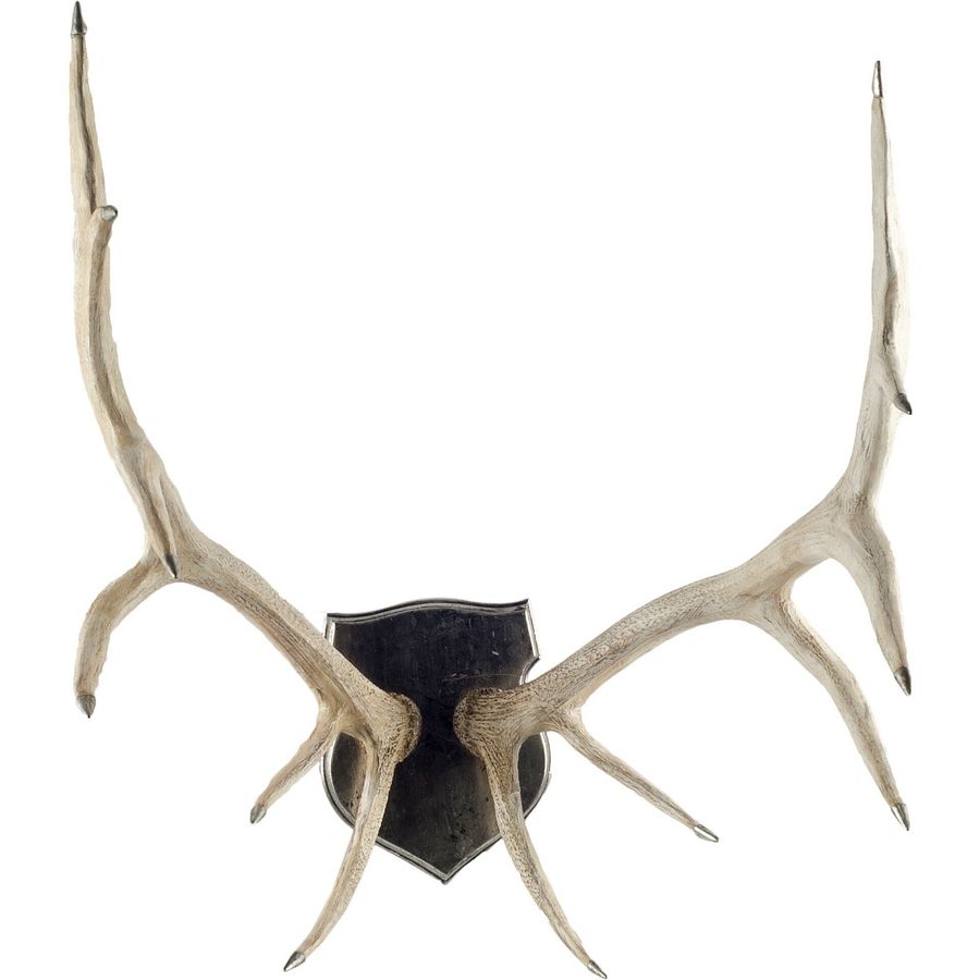 Loon Peak® Wall Décor | Wayfair added by sallie tyler