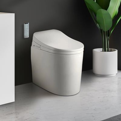 Small Size Bidet Smart Toilet One-Piece Elongated Floor Mounted Automatic Self-Clean | Homary added by Ekaterina Sleta