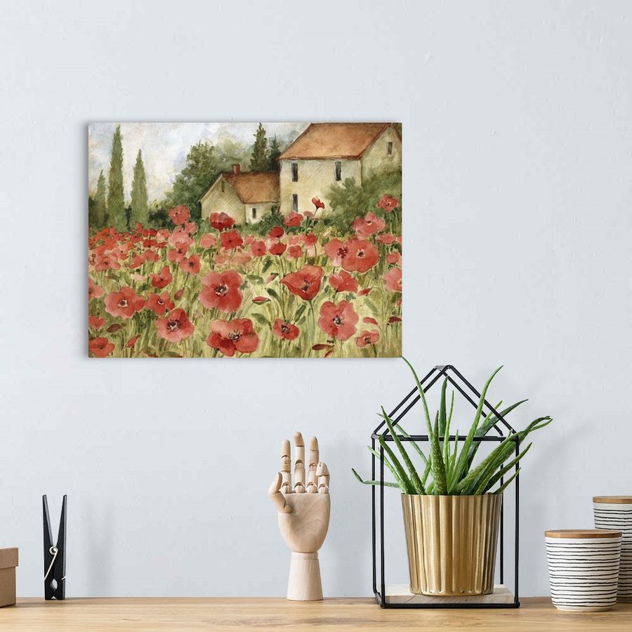 Tuscan Poppy Landscape added by KATHERINE ECK