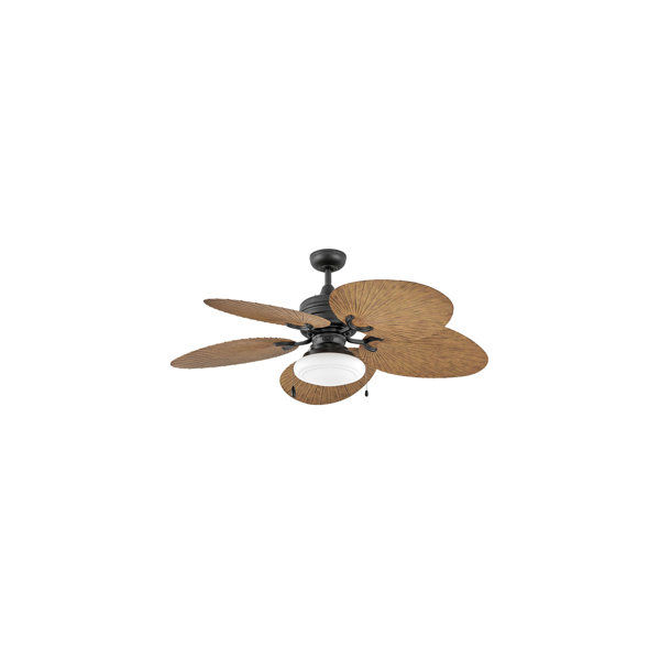 Annmarie 52'' Ceiling Fan added by sallie tyler