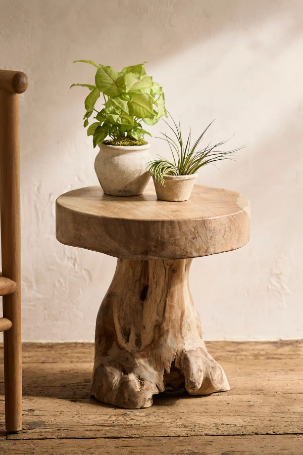 Teak Root Side Table added by taided betancourt