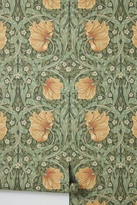 Pimpernel Wallpaper added by Rachelle Langella
