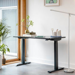 Duo Standing Desk added by Rachel Fedorov