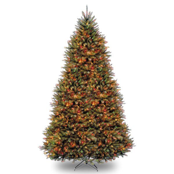 Dunhill Fir Lighted Faux Fir Christmas Tree added by Kirsten Rauffer