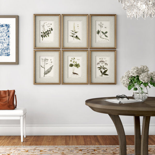 Botanical Study' - 6 Piece Picture Frame Graphic Art Print Set on Paper added by sallie tyler