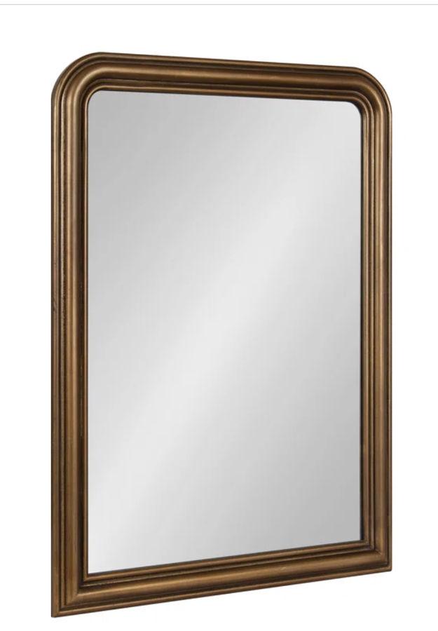 Sarla Red Barrel Studio® Radius Arch Mirror added by Caitlyn Fitzpatrick
