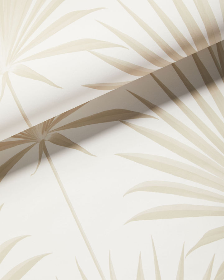 Island Palm Wallpaper added by Sarah Griffin