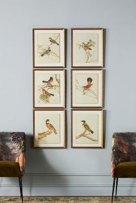 Birds of Autumn Wall Art added by Melanie Fenning