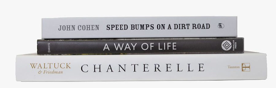 Modern Dust Jacket ColorStak Books - Set of 3 added by Carly Murphy