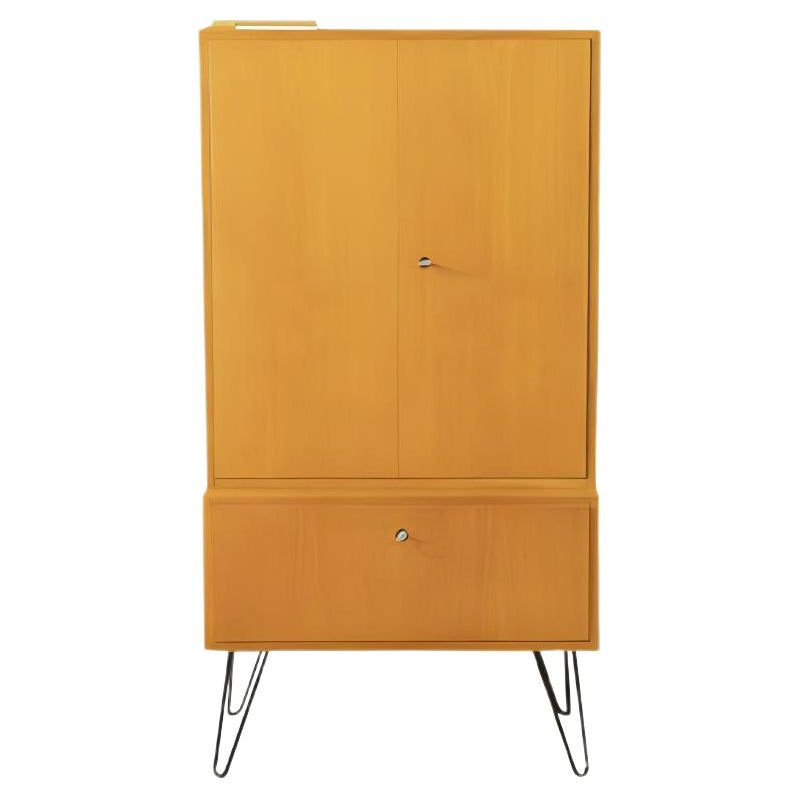 Ash Veneer Wardrobe by Oldenburger Möbelwerkstätten, 1950s added by Spoak Member