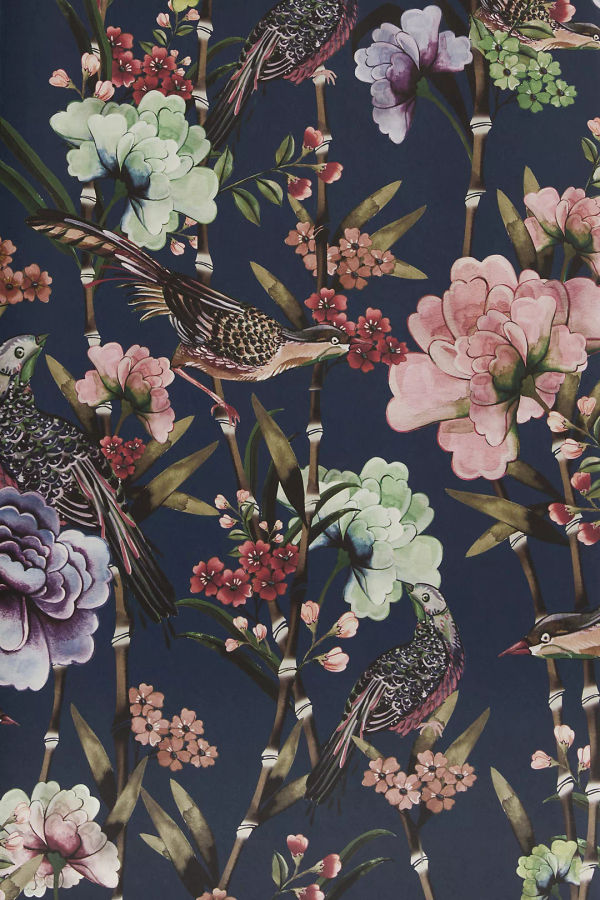 Ainsley Wallpaper added by Shae Eldridge
