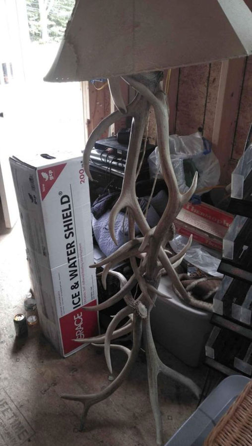 Real Elk Antler Floor Lamp added by Spoak Member