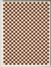 Checkered Rug added by DaLynne McCurrach