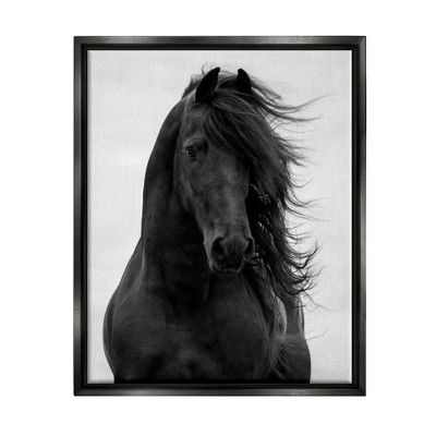 Stupell Industries Black Stallion Horse Portrait Soft Grey Sky Photography Black Floater Framed Canvas Wall Art, 24 x 30 added by Samantha Elizabeth