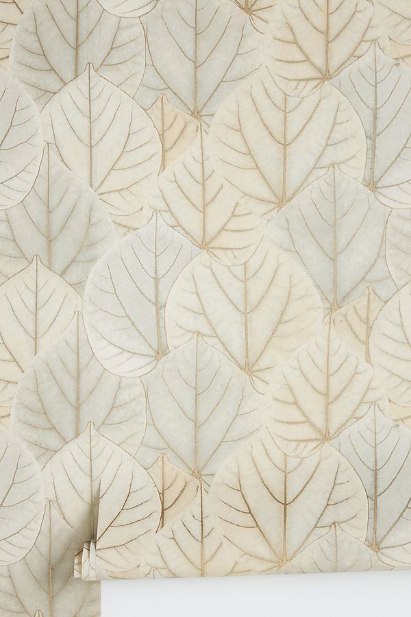 Leaf Concerto Wallpaper added by Olga Dragieva