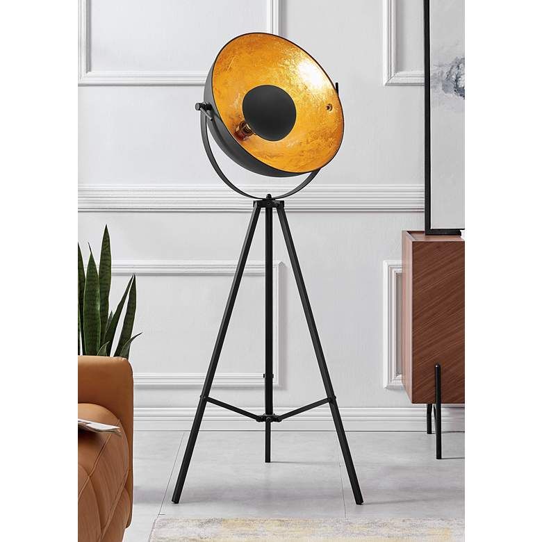 Lite Source Gothard 65" Black and Gold Spotlight Tripod Floor Lamp added by Florence Duah
