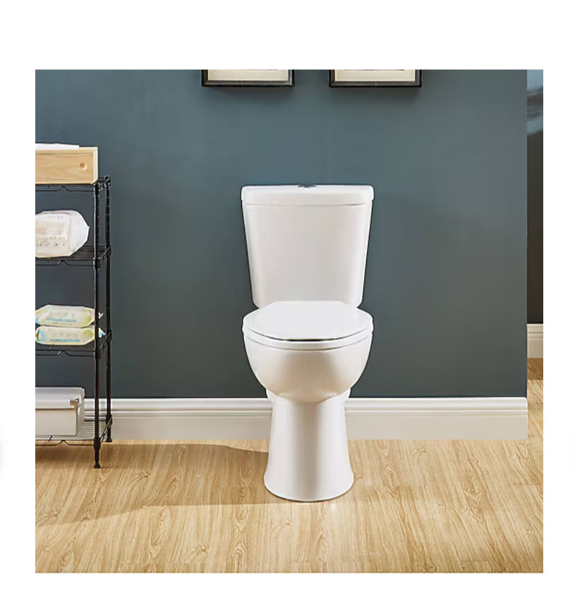 Project Source Pro-Flush White Dual Flush Elongated Chair added by Megan Shipp