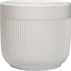 Ceramic Planters added by Audriana Jenkins